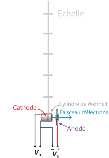 Canon à électrons dans un tube à rayons cathodiques